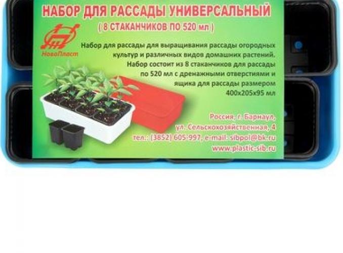 Набор для рассады: стакан 520 мл - 8 шт., контейнер голубой