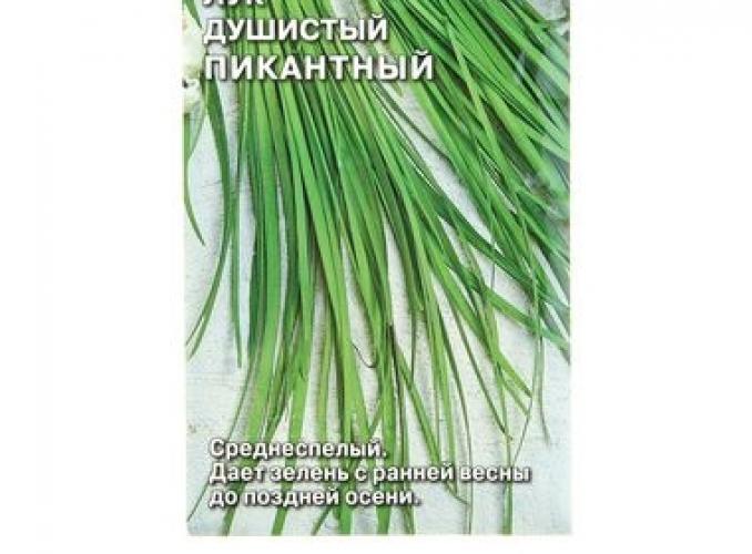 Семена лук Пикантный душистый  0,5 г.