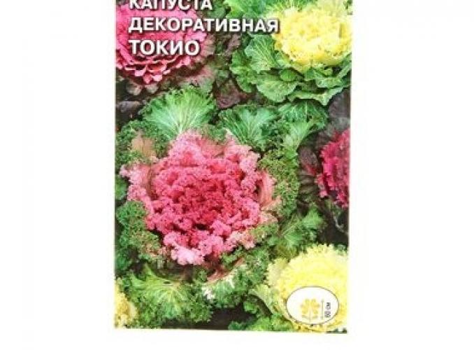 Семена цветов Капуста декоративная Токио смесь 0,1 г.