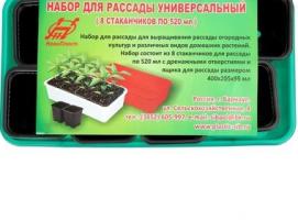 Набор для рассады: стакан 520 мл - 8 шт., контейнер зелёный