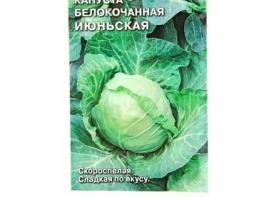 Семена капуста Июньская Б/К 0,5 г.